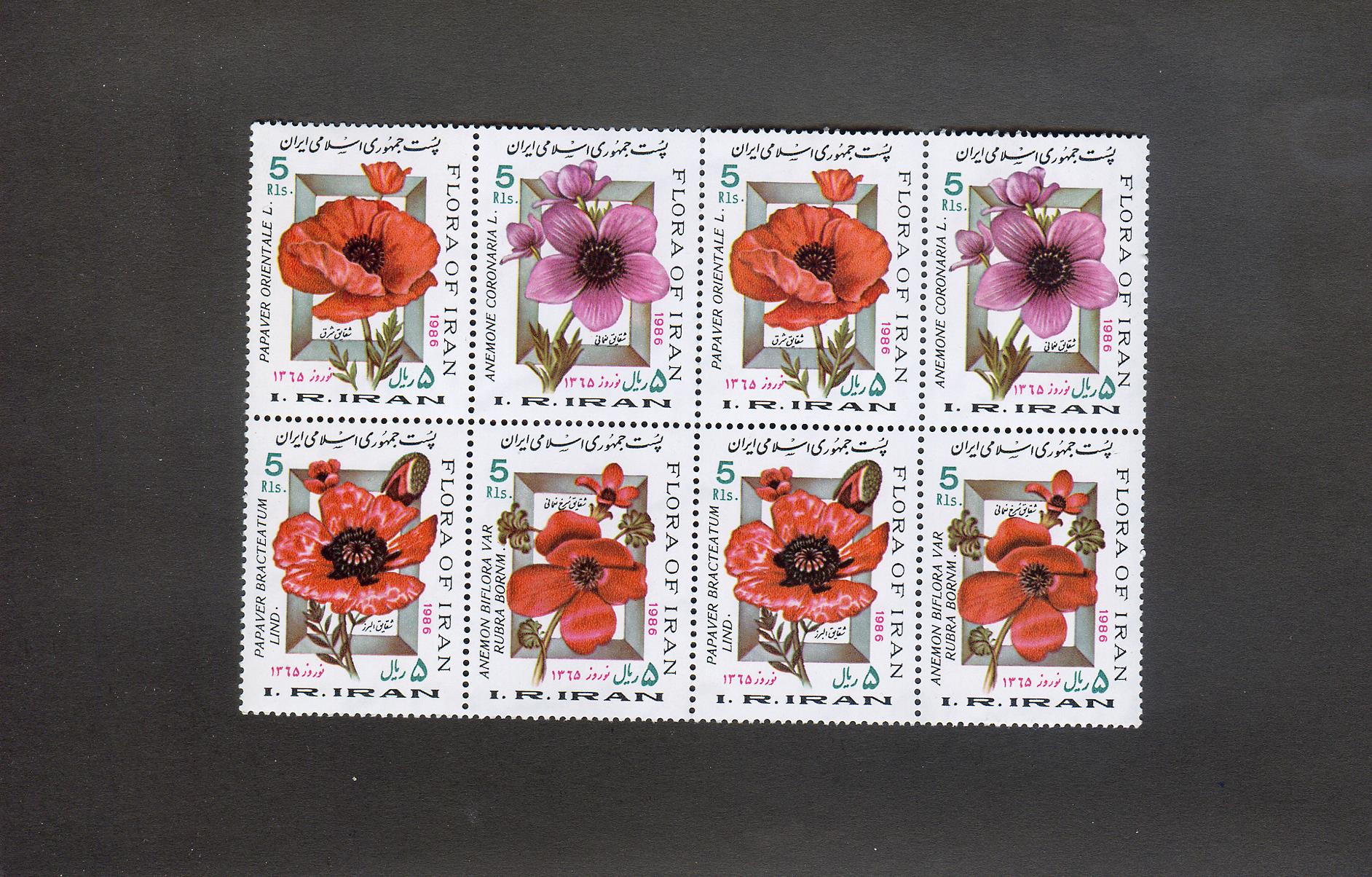  2 بلوک جمهوری نوروز باستانی 1364 