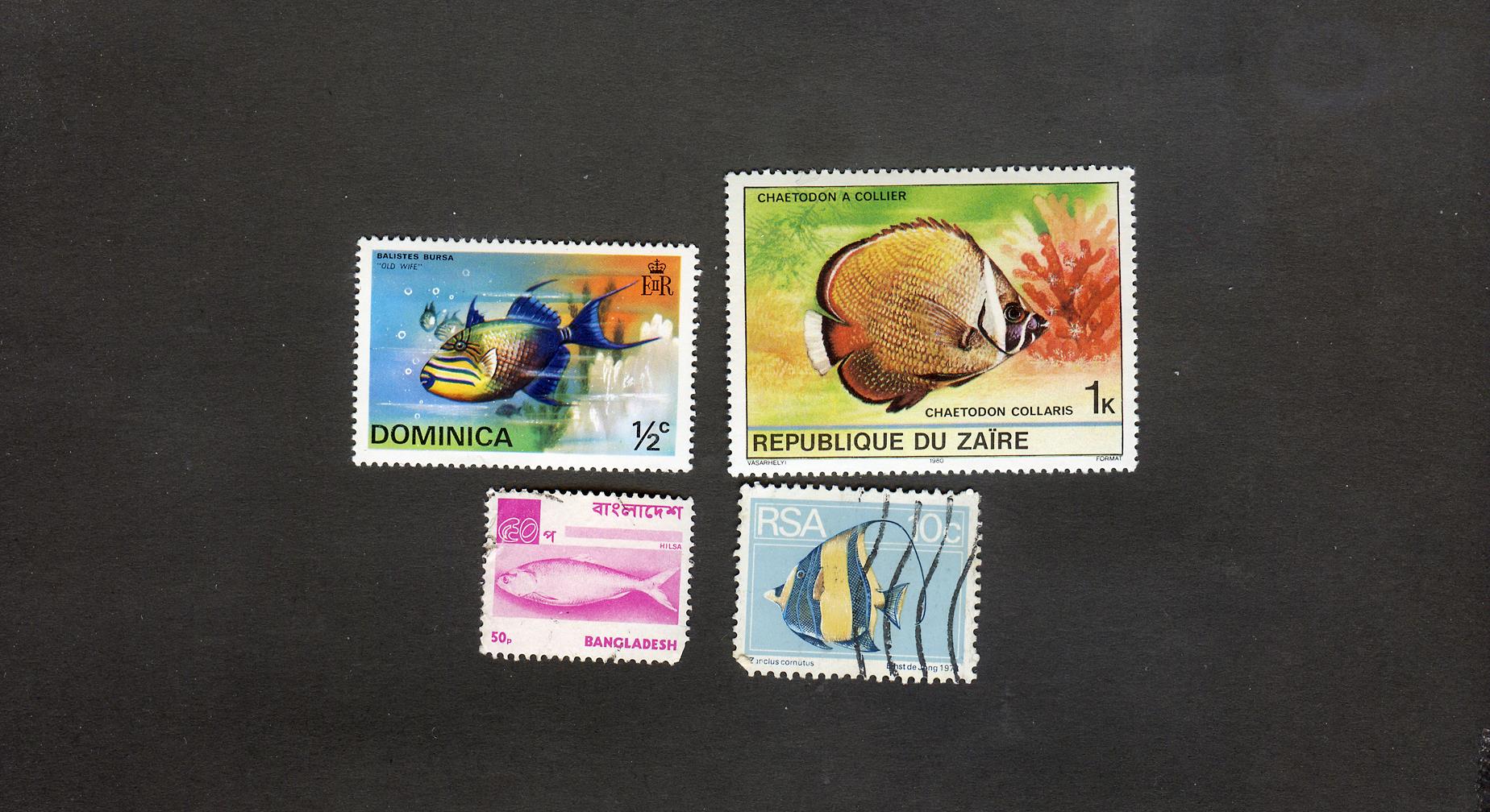  4 عدد تمبر زیبای بنگلادش با موضوع ماهی