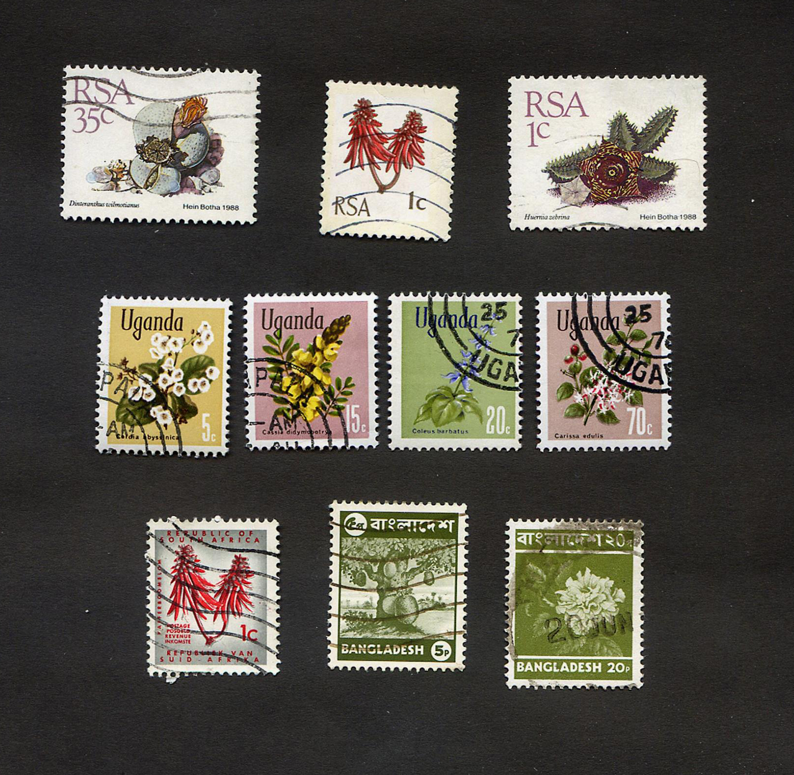  10 عدد تمبر زیبای بنگلادش موضوع گیاهان