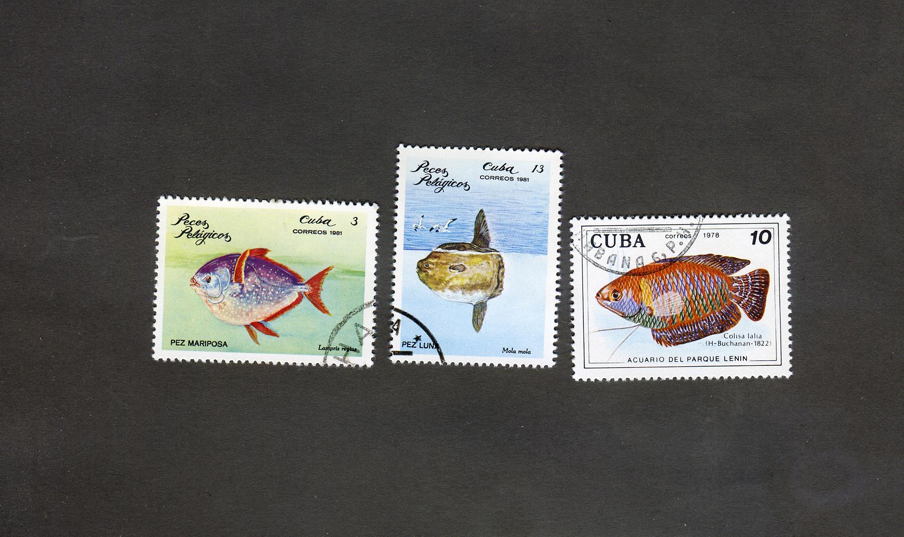  سری 3 عددی تمبر ماهی ها کشور کوبا