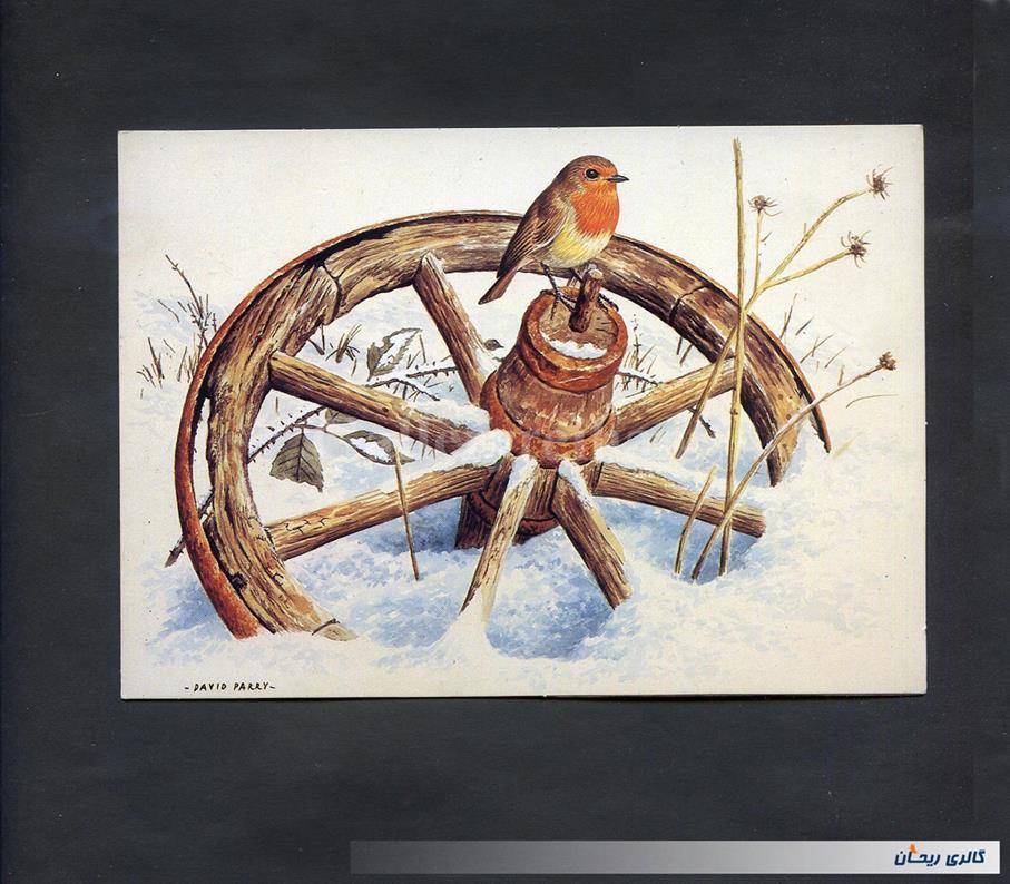 کارت پستال چاپ انگلستان طرح پرنده در برف 