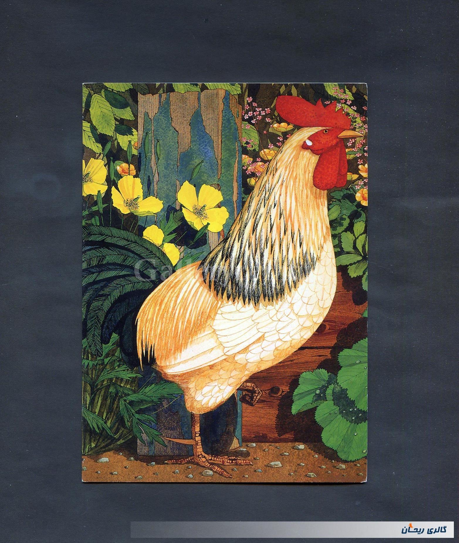 کارت پستال انتشارات وودفیلد طرح خروس