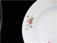 دیوارآویز قدیمی بسیار زیبا گل سرخی KPM