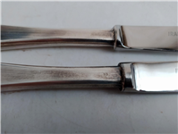  جفت کارد استیک نوربلین هواپیمایی ایران ایر