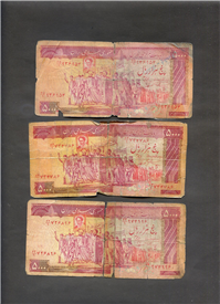  3عدد اسکناس تظاهراتی نمازی ـ نوربخش