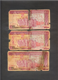  3عدد اسکناس تظاهراتی نمازی ـ نوربخش