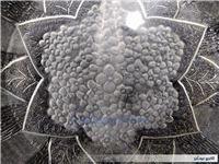  ظرف شیرینی یا میوه خوری قدیمی طرح گل