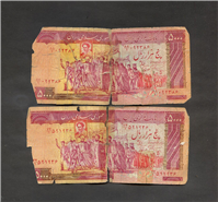 2عدد اسکناس تظاهراتی نمازی ـ نوربخش