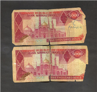 2عدد اسکناس تظاهراتی نمازی ـ نوربخش