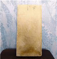 کتیبه برجسته حجاری دست تقابل شهریار و شیر