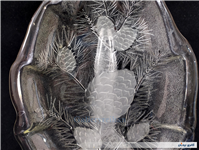  ظرف پذیرایی طرح برگ و میوه کاج ضخیم 