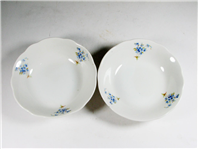  جفت کمپوت خوری طرح شکوفه های آبی