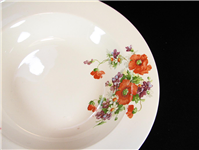  دیوارکوب سرامیکی زیبا ساخت کشور آمریکا