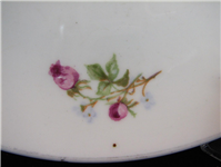  دیوارآویز گلسرخی روسی داس و چکش کمیاب