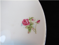  دیوارکوب گلسرخی بزرگ کمیاب و خاص