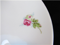  دیوارکوب گلسرخی بزرگ کمیاب و خاص