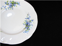  دیوار کوب بسیار خاص طرح گلهای آبی روسی 