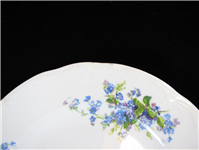  دیوار کوب بسیار خاص طرح گلهای آبی روسی 