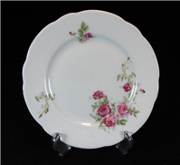 دیوارآویز گل سرخی KPM ساخت آلمان