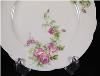  دیوارکوب قدیمی طرح گل سرخی KPM آلمان