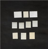  10 عدد تمبر زیبای بنگلادش موضوع گیاهان