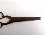  قیچی فولادی بسیار قدیمی دستساز قاجاری