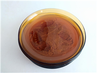  6عدد بشقاب بزرگ میگو عسلی اندونزی 