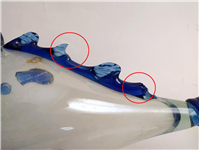  تنگ ماهی نوستالژی قدیمی دستساز 