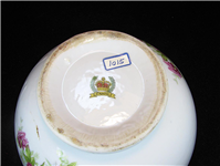 کاسه قدیمی و گل درشت گل سرخی زیبا 