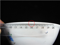 کاسه بسیار قدیمی نقاشی دست روسی گل سیب