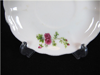 زیر فنجانی یا دیوارکوب گل سرخی قدیمی