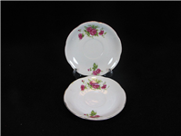 دیوارکوب یا زیر فنجانی گل سرخی قدیمی