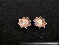 2عدد درجه یا قپه نظامی همراه با چفت 