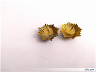 2عدد درجه یا قپه نظامی همراه با چفت 