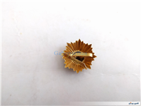 درجه یا قپه نظامی کمیاب همراه با چفت فلزی