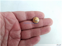 دکمه کلکسیونی شیر و خورشید سایز کوچک 