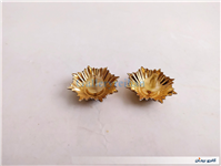 2عدد درجه یا قپه نظامی همراه با چفت 