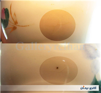 کاسه روسی نقاشی دست قدیمی طرح گل سیب 