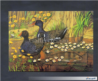 کارت پستال انتشارات وودفیلد چاپ انگلستان