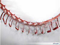 کاغذ کشی ریسه تزئین تولد نوستالژی دهه 60 