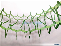 کاغذ کشی ریسه تزئین تولد نوستالژی دهه 60 