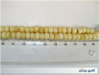 تسبیح کلکسیونی قدیمی دست ساز استخوان