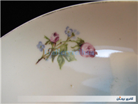 دیوارکوب چینی گل سرخی قدیمی