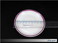 دیوارکوب یا نعلبکی قدیمی روسی بسیار خاص