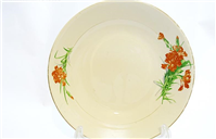 ظرف میوه خوری سرامیکی عمق دار بسیار فاخر