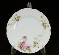 دیوارکوب کلکسیونی زیبا و قدیمی گل سرخی